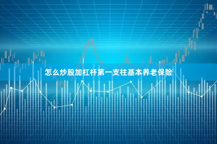 怎么炒股加杠杆第一支柱基本养老保险